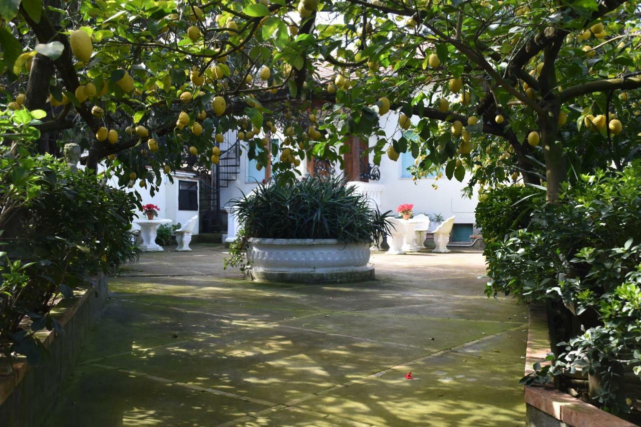 De Gregorio Apartamento Massa Lubrense Exterior foto