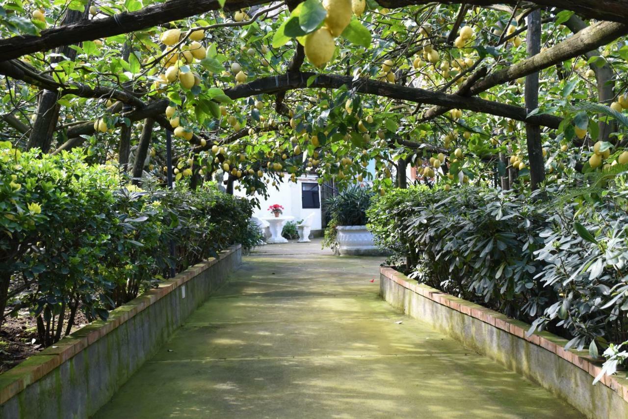 De Gregorio Apartamento Massa Lubrense Exterior foto